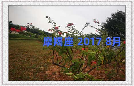 摩羯座 2017 8月